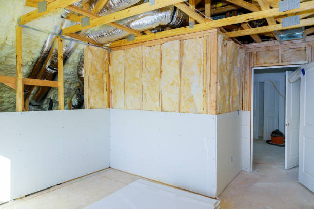 Best Insulation Contractors for Homes  in Springfield, MN