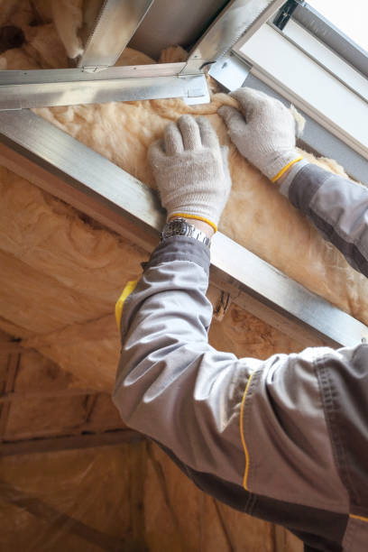 Best Spray Foam Insulation  in Springfield, MN