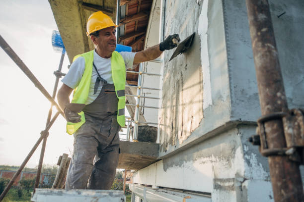 Best Wall Insulation Contractor  in Springfield, MN