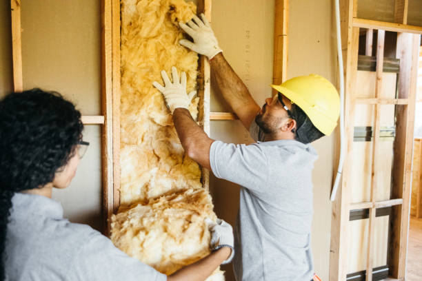 Best Insulation Replacement Services  in Springfield, MN